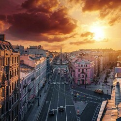 Пазл: Староневский