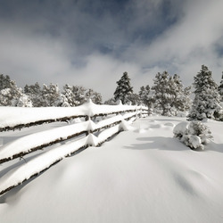 Пазл: Намела метель