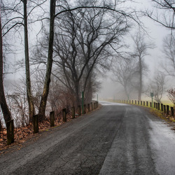 Пазл: Дорога сквозь туман