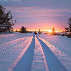 Пазл: Зимний закат