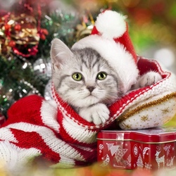 Пазл: Ждем праздников