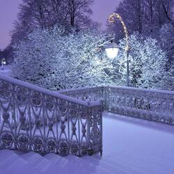 Пазл: В парке на острове Елагин