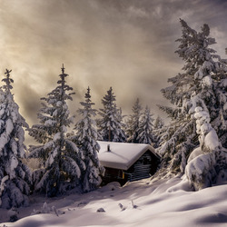 Пазл: Дом в снежном плену