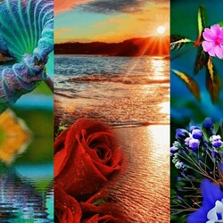 Пазл: Цветы и птицы