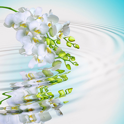 Пазл: Отражение