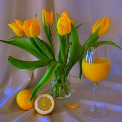 Пазл: Натюрморт 