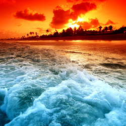 Пазл: Волна