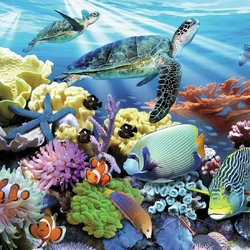 Пазл: Подводный мир