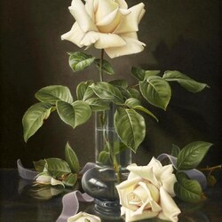 Пазл: Белая роза