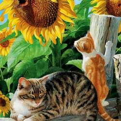 Пазл: За бабочкой