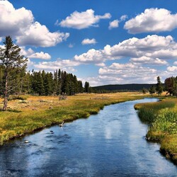 Пазл: Национальный парк Йеллоустоун