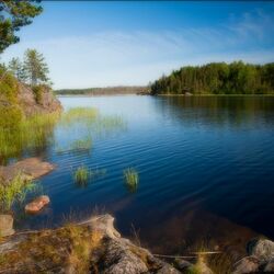 Пазл: Природа Карелии