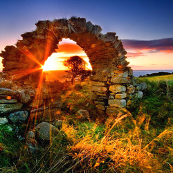 Пазл: На закате