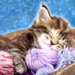 Пазл: Сладких снов