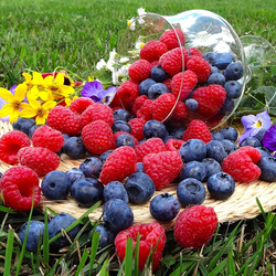 Пазл: Ягодки