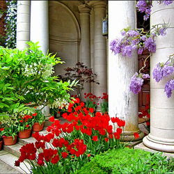 Пазл: Дом с колоннами