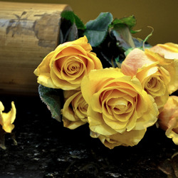 Пазл: Букет желтых роз