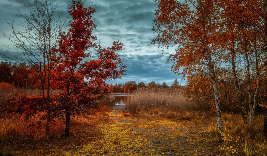 Пазл «Озеро осенью» из 170 элементов | Собрать онлайн пазл №231141