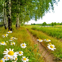 Пазл: Ах как хочется лета