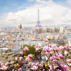 Пазл: Париж весной