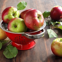 Пазл: Яблочки