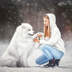 Пазл: Белый пес