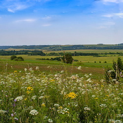 Пазл: Вятские просторы