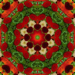 Пазл: Калейдоскоп из георгин