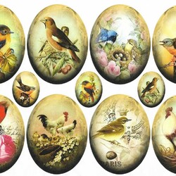 Пазл: Коллаж