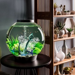 Пазл: Аквариум в интерьере