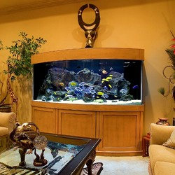 Пазл: Аквариум в интерьере