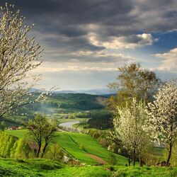 Пазл: Весна