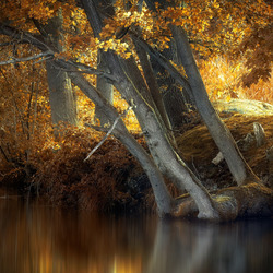 Пазл: Осенний берег