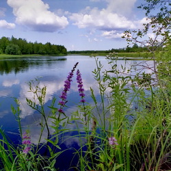 Пазл: Река Модлона