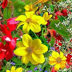 Пазл: Птичка и  цветы