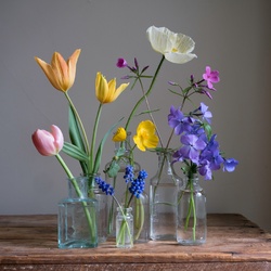 Пазл: Натюрморт 