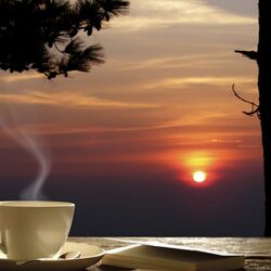 Пазл: Вечерний чай