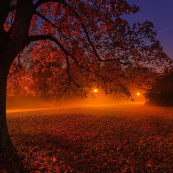 Пазл: Осенние огни