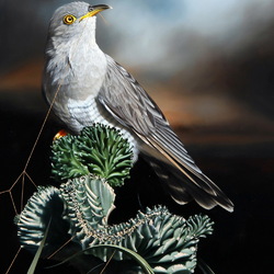 Пазл: Волшебные портреты птиц