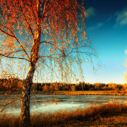 Пазл: Осень