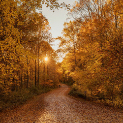 Пазл: Осенний закат