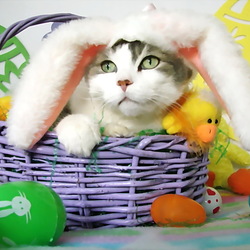 Пазл: Пасхальный котик