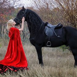 Пазл: Конь и девушка