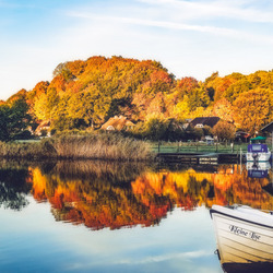 Пазл: Домик около водоема