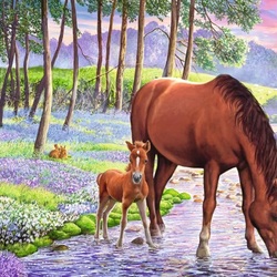 Пазл: Лошадь с жеребёнком