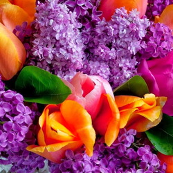 Пазл: Здравствуй май