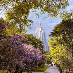 Пазл: Москва цветущая