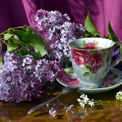 Пазл: Весенний чай