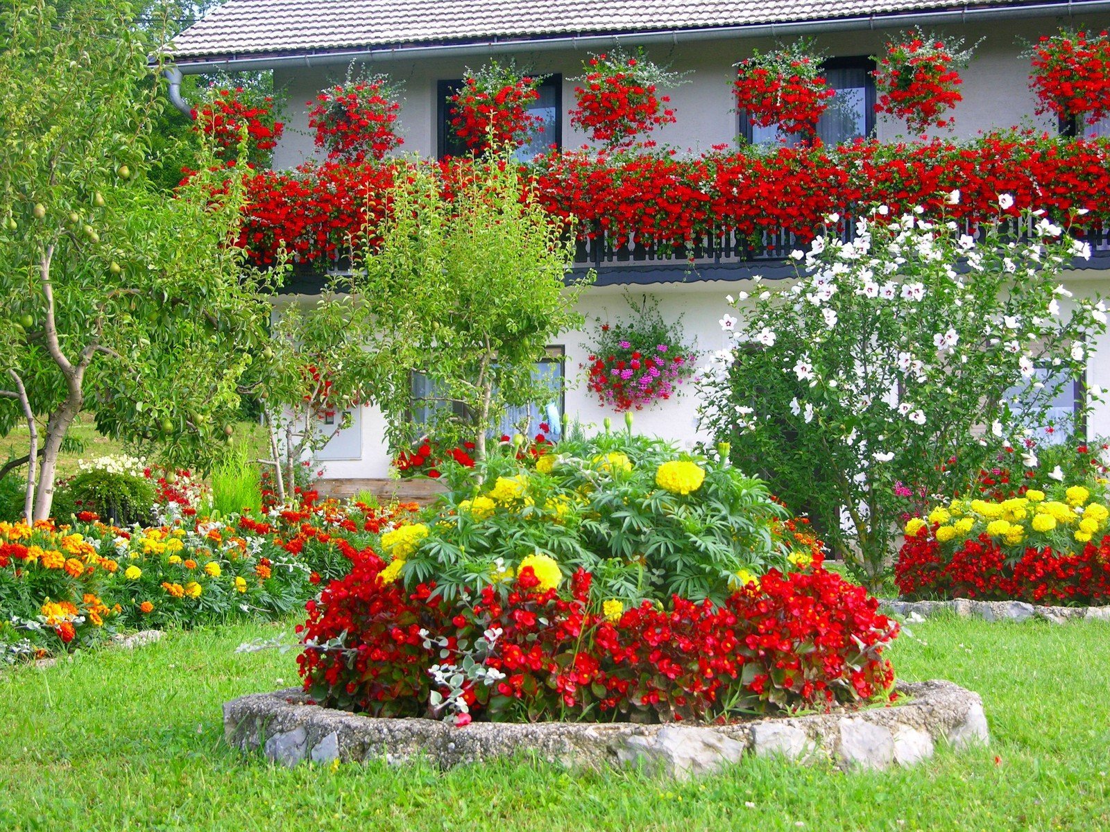 Как красиво посадить красиво цветы в огороде фото