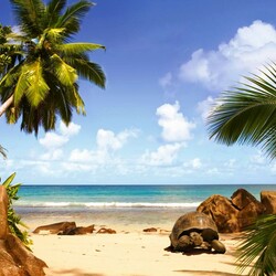 Пазл: Райский пляж